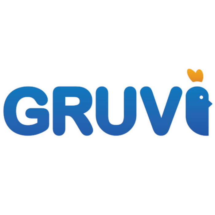 Gruvi