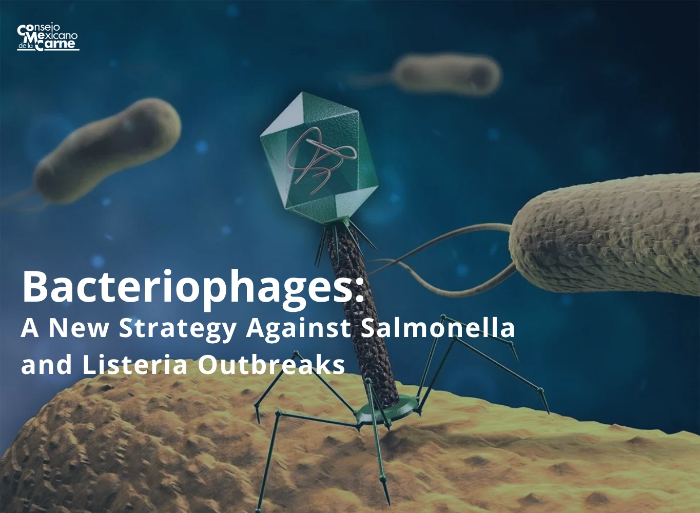 Bacteriophages: A New Strategy Against Salmonella and Listeria Outbreaks