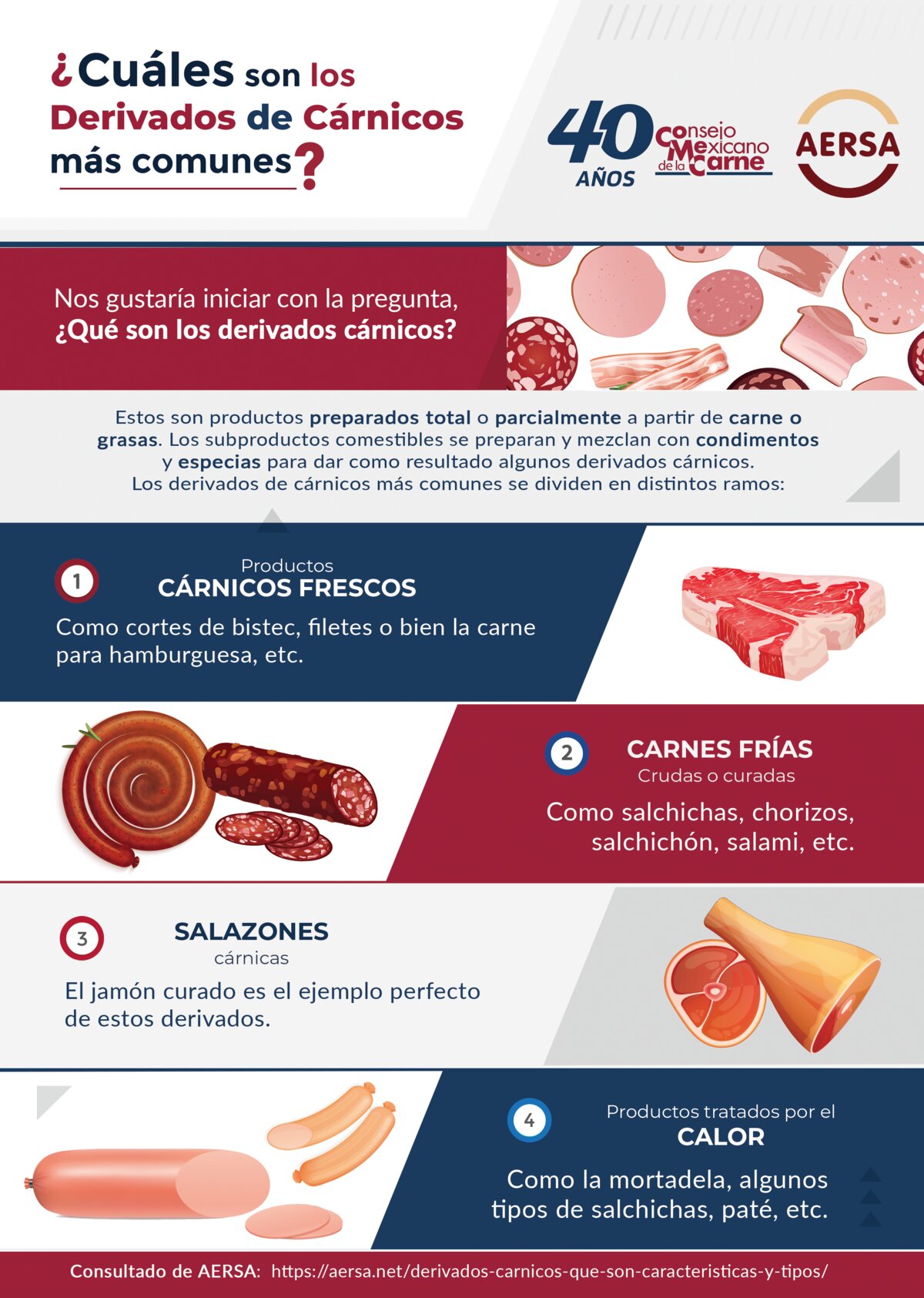 ¿Cuáles son los Derivados de Cárnicos más comunes?